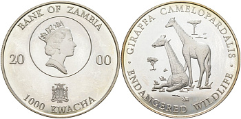 Замбия 1000 квача 2000 серия исчезающие виды, жирафы, тираж 25000 экз. серебро PROOF 04-317-44