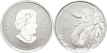 Канада 20 долларов 2013 год змеи, Елизавета II (1952-2022) KM NEW серебро PROOF 11-265-52