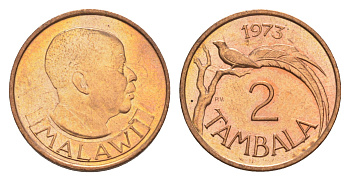 Малави 2 тамбала 1973 райская вдовушка (птица) KM 8.1 бронза  aUNC  4640-857