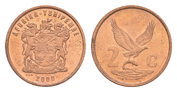 ЮАР 2 цента 2000 KM 159 сталь плакированная медью UNC 4621-236
