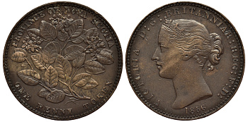 Канада 1 пенни 1856 NOVA SCOTIA, ВИКТОРИЯ, ЦВЕТОК, ТОКЕН, W/LCW KM 6 медь 00-00