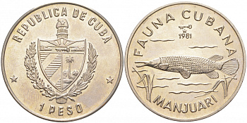 Куба 1 песо 1981 фауна Кубы, манджуари (manjuarí) KM 65 медно-никель UNC 1526-134 M8-1