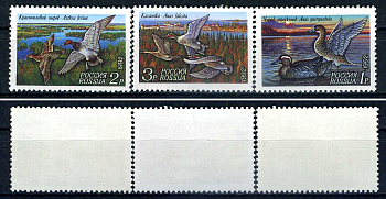 Россия набор из 3 марок (1, 2 и 3 рубля) 1992 уктки - чирок-трескунок, красноголовый нырок, касатка Загорский F 35, F 36, F 37    марка с оригинальным клеем, без следов наклейки (чистая) 8707-5-6-1